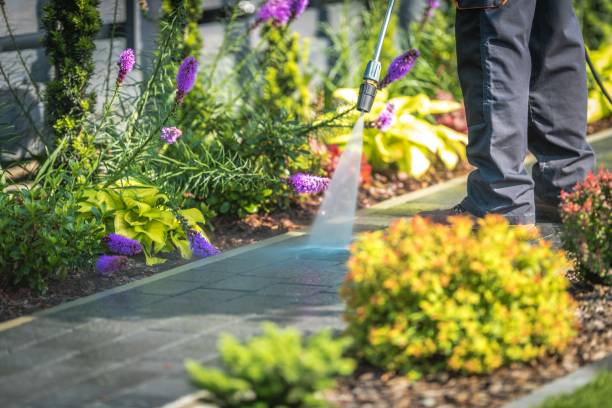 Best Dumpster Area Cleaning  in Jefferson, IA