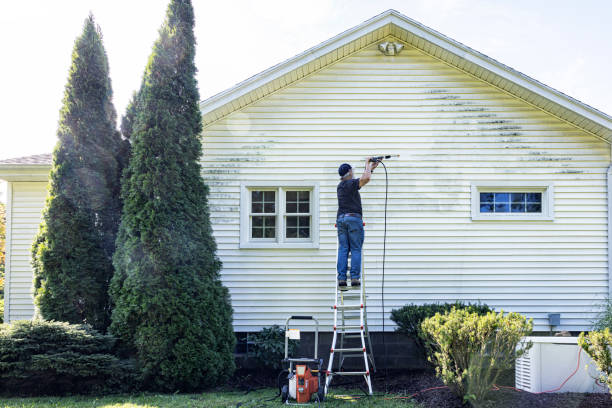 Best Graffiti Removal  in Jefferson, IA